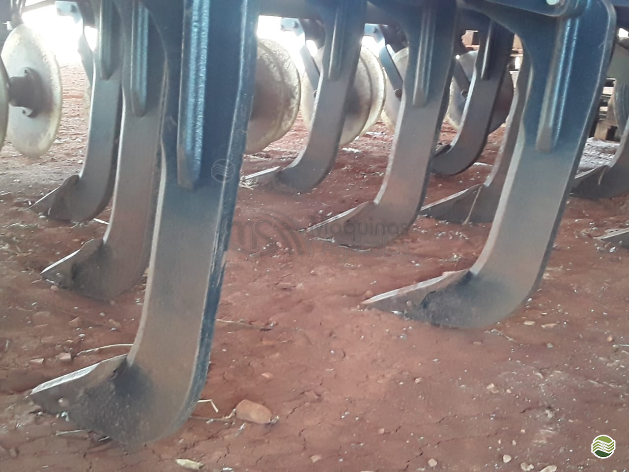 IMPLEMENTOS AGRICOLAS SCARIFICADOR 15 HASTES DISCO CORTE MS Máquinas Agrícolas DOURADOS MATO GROSSO DO SUL MS